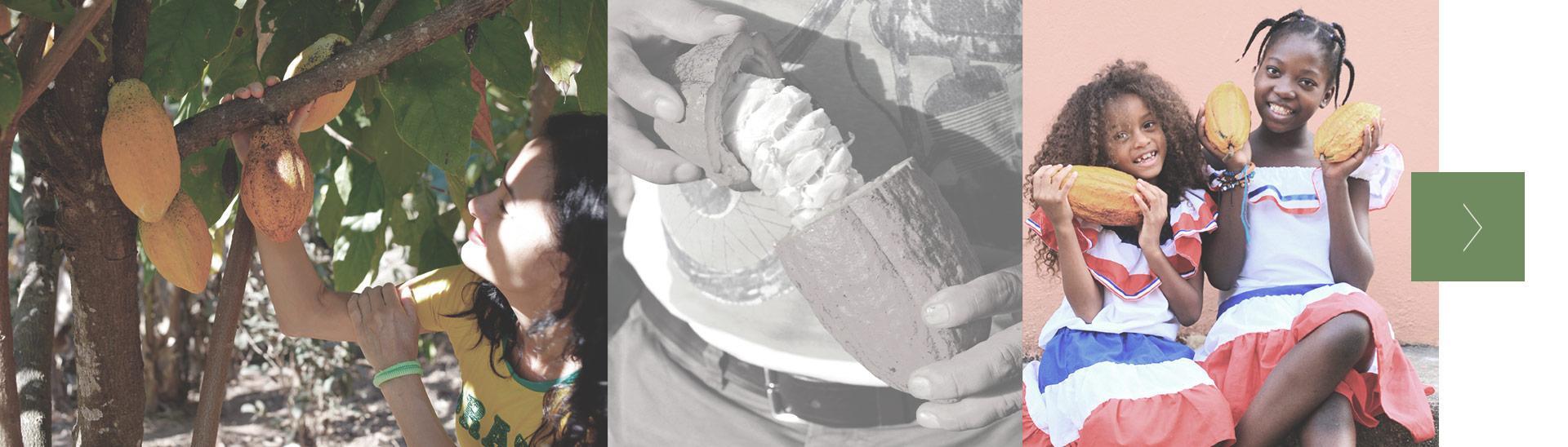 home-moving-banner-1