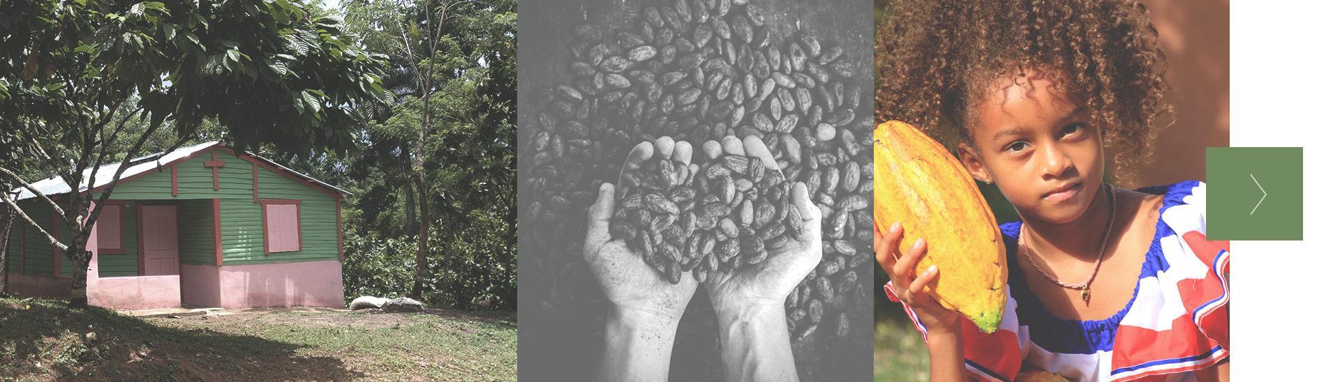 home-moving-banner-3