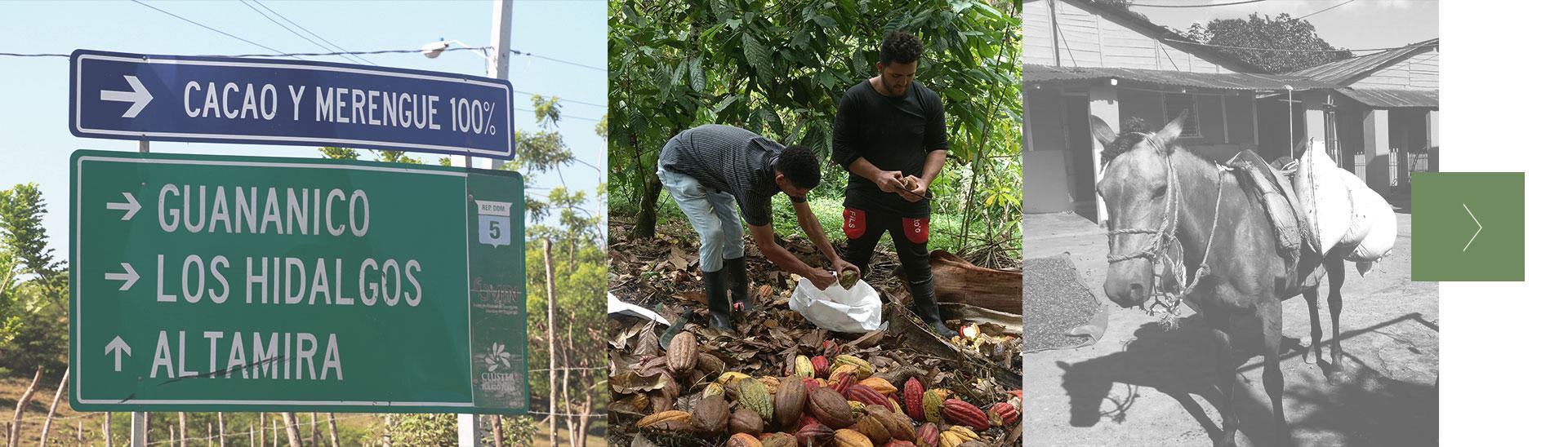 home-moving-banner-5