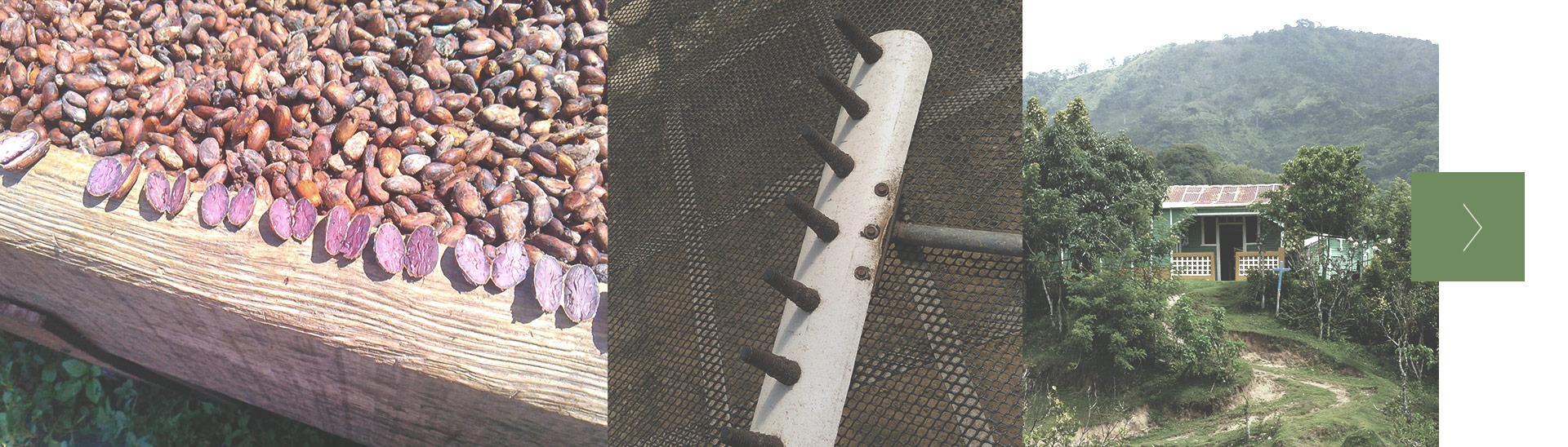 home-moving-banner-6